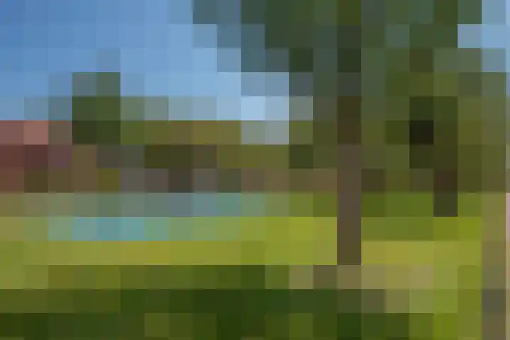 Rijswijkse Landingslaan 346 Den Haag thumbnail 35