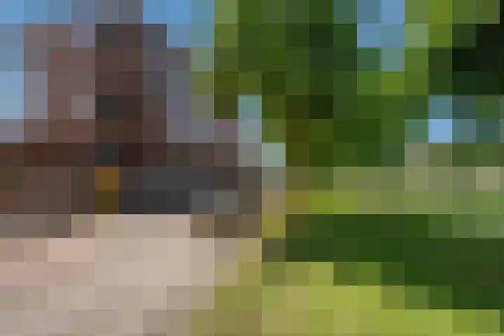 Rijswijkse Landingslaan 346 Den Haag thumbnail 38