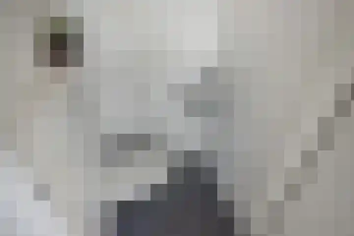 Rijswijkse Landingslaan 346 Den Haag thumbnail 8