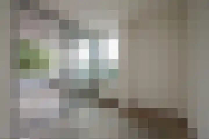 Rijswijkse Landingslaan 410 Den Haag thumbnail 14