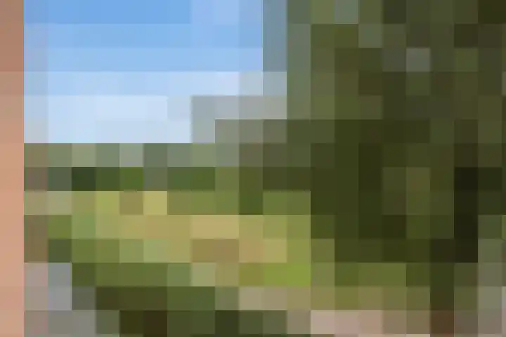 Rijswijkse Landingslaan 410 Den Haag thumbnail 26