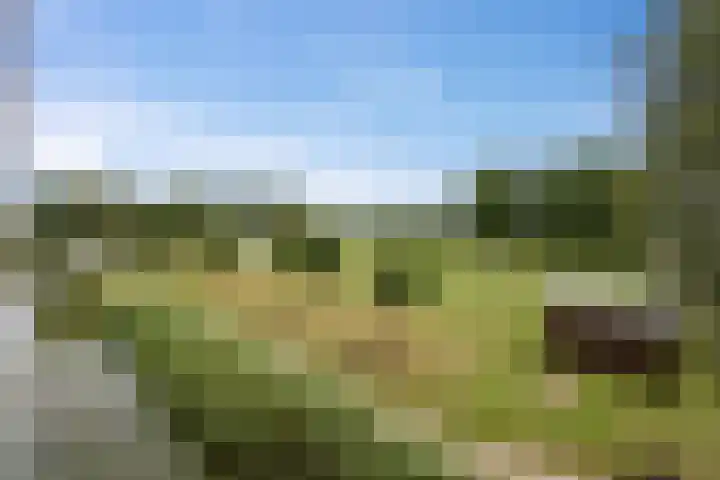 Rijswijkse Landingslaan 410 Den Haag thumbnail 27