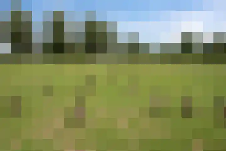 Rijswijkse Landingslaan 410 Den Haag thumbnail 29