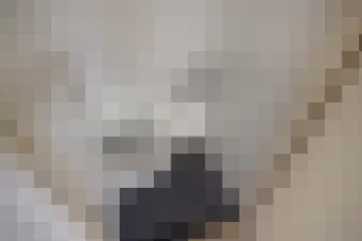 Rijswijkse Landingslaan 410 Den Haag thumbnail 9