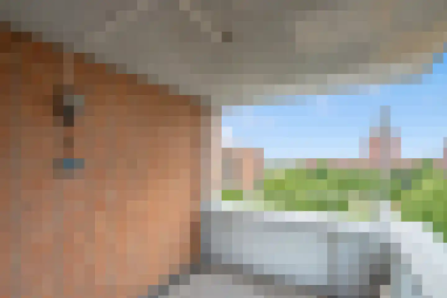 Rijswijkse Landingslaan 422 Den Haag thumbnail 14