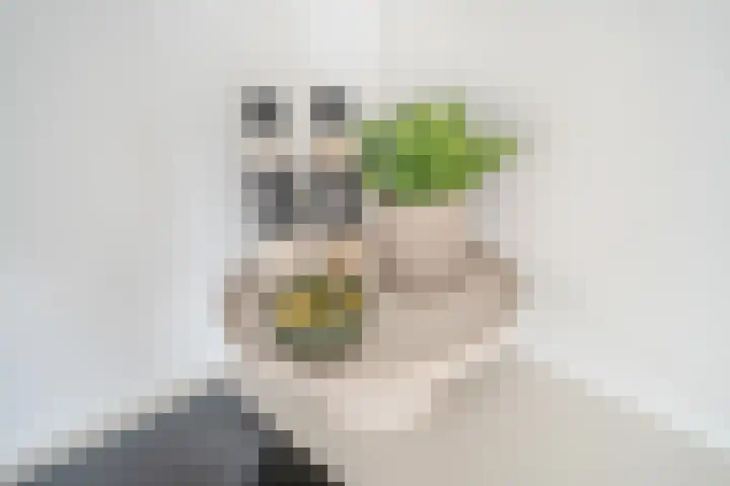 Rijswijkse Landingslaan 422 Den Haag thumbnail 22