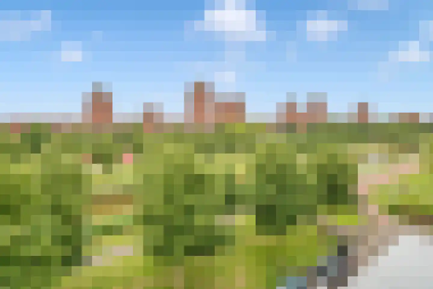 Rijswijkse Landingslaan 422 Den Haag thumbnail 33
