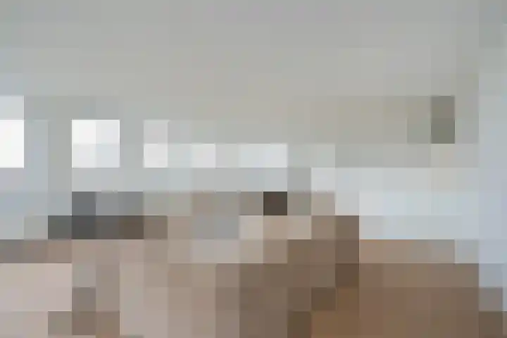 Rijswijkse Landingslaan 446 Den Haag thumbnail 13