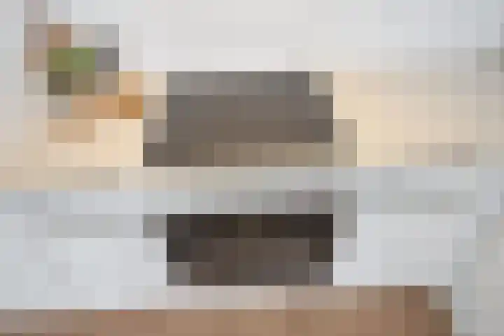 Rijswijkse Landingslaan 446 Den Haag thumbnail 20
