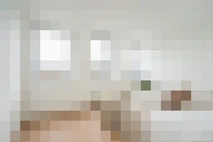 Rijswijkse Landingslaan 446 Den Haag thumbnail 21