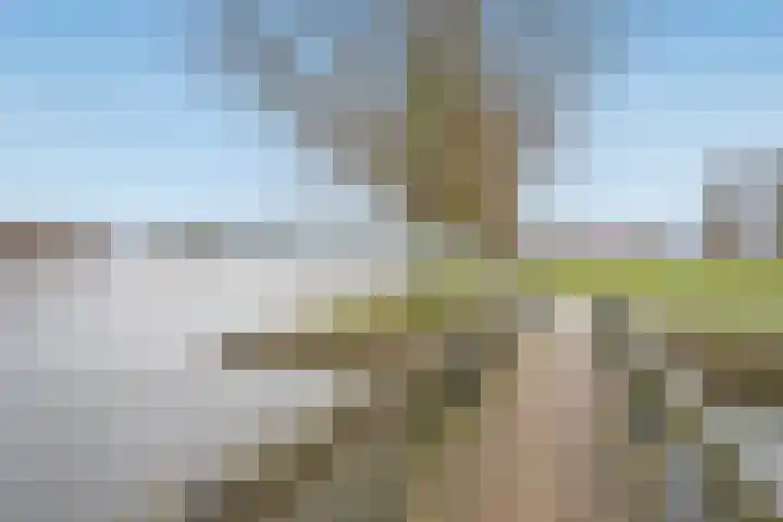 Rijswijkse Landingslaan 446 Den Haag thumbnail 29