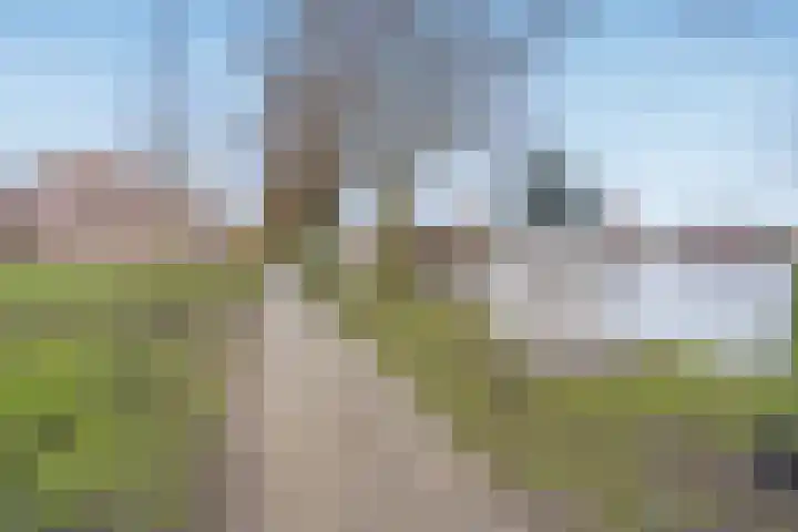 Rijswijkse Landingslaan 446 Den Haag thumbnail 30