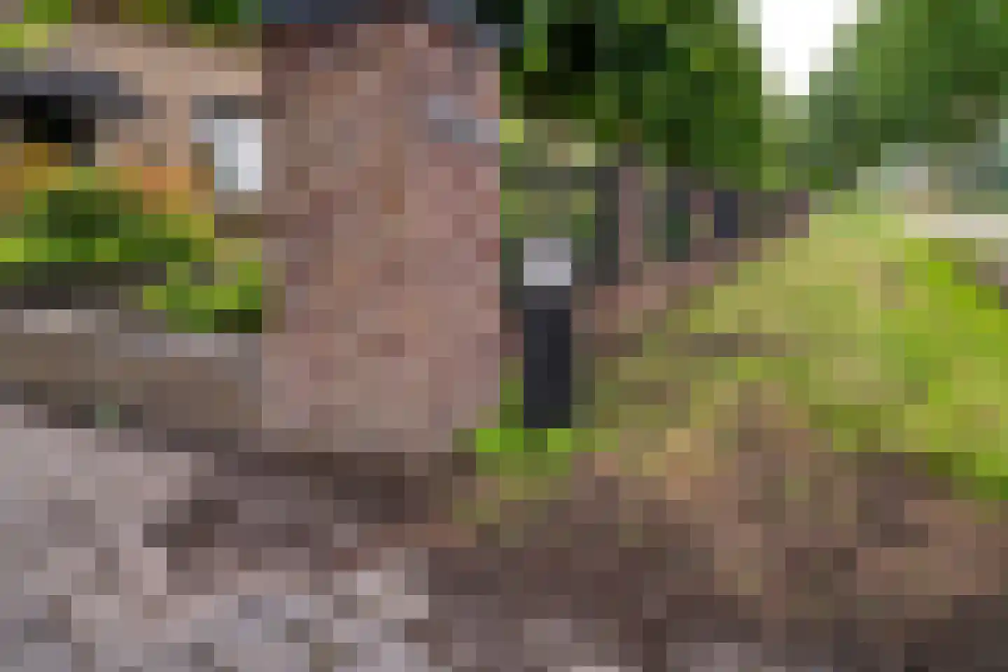 Rijswijksestraat 1 Groessen thumbnail 10