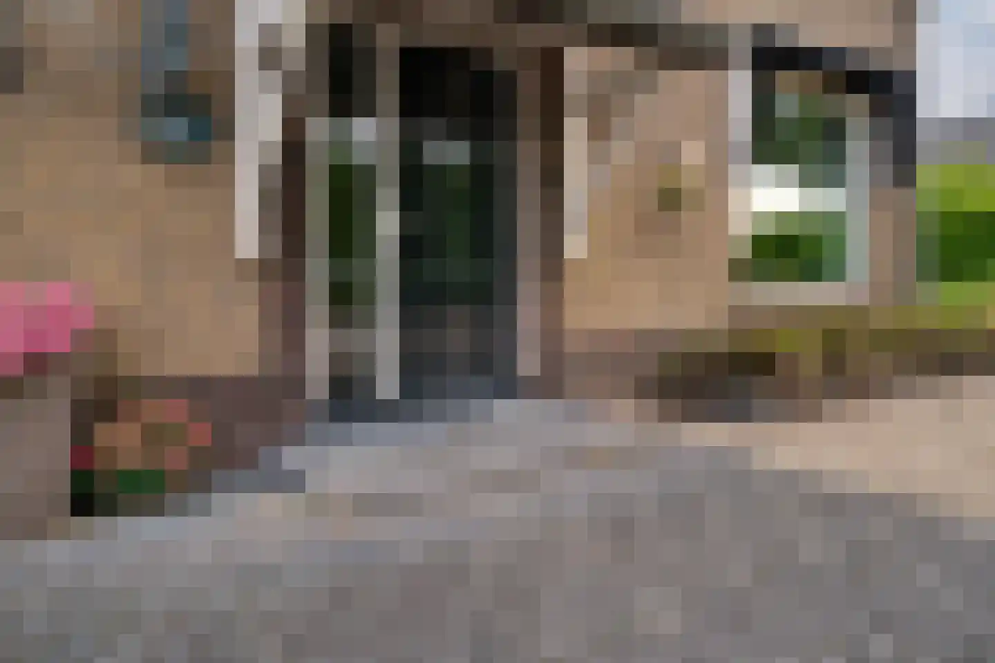 Rijswijksestraat 1 Groessen thumbnail 17