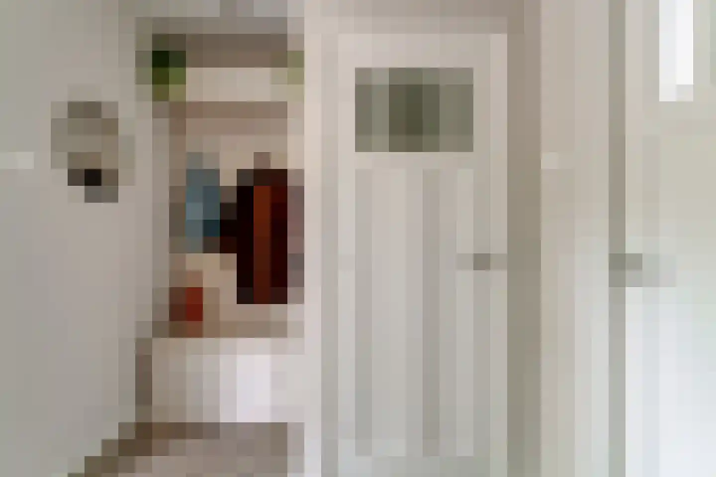 Rijswijksestraat 1 Groessen thumbnail 19