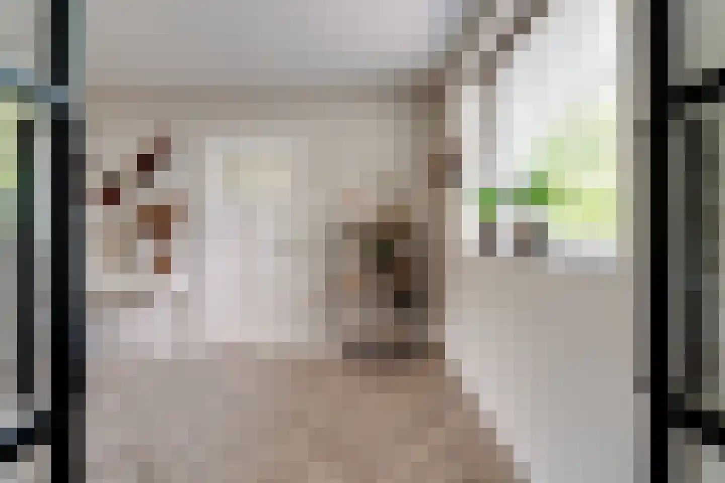 Rijswijksestraat 1 Groessen thumbnail 21