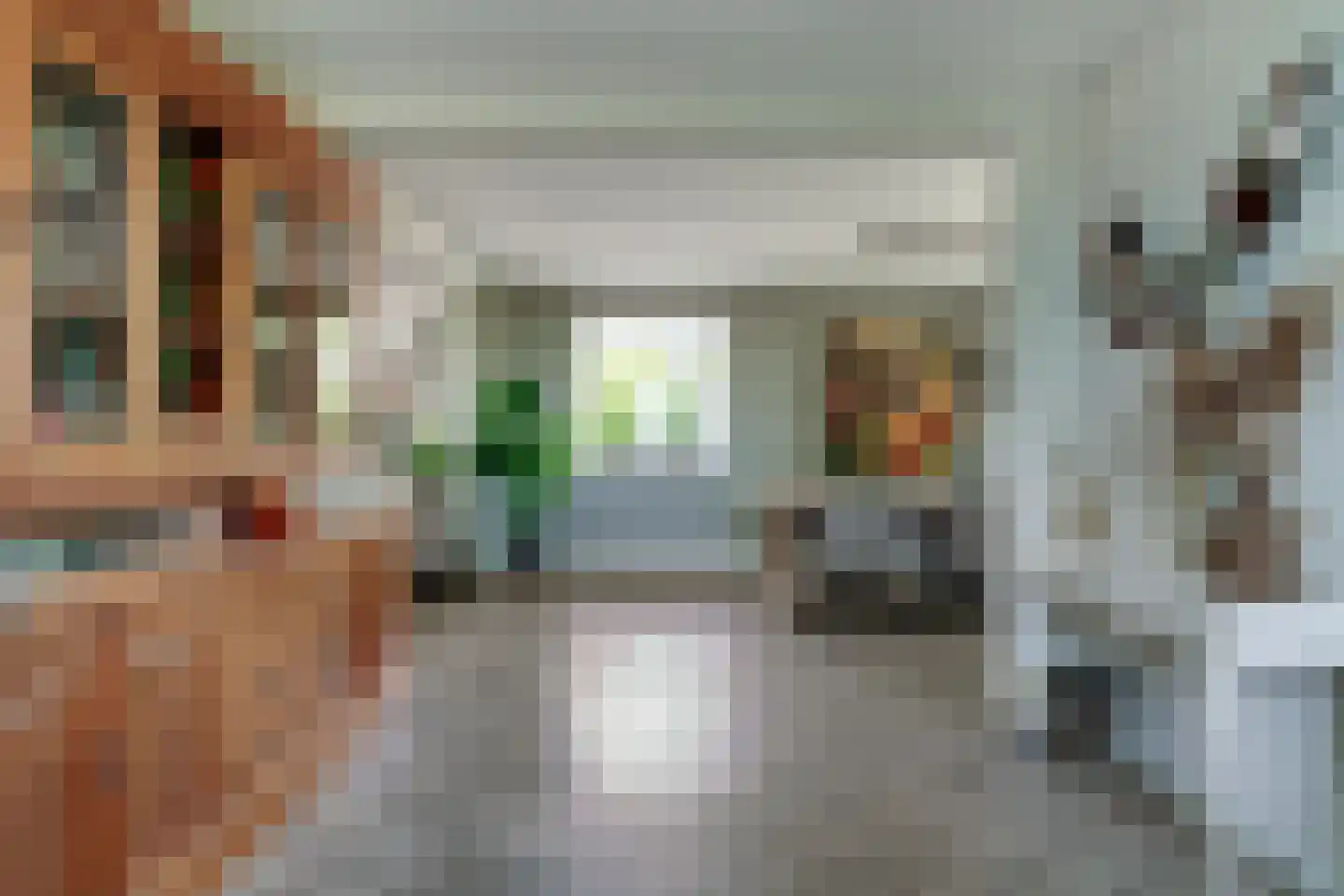 Rijswijksestraat 1 Groessen thumbnail 23