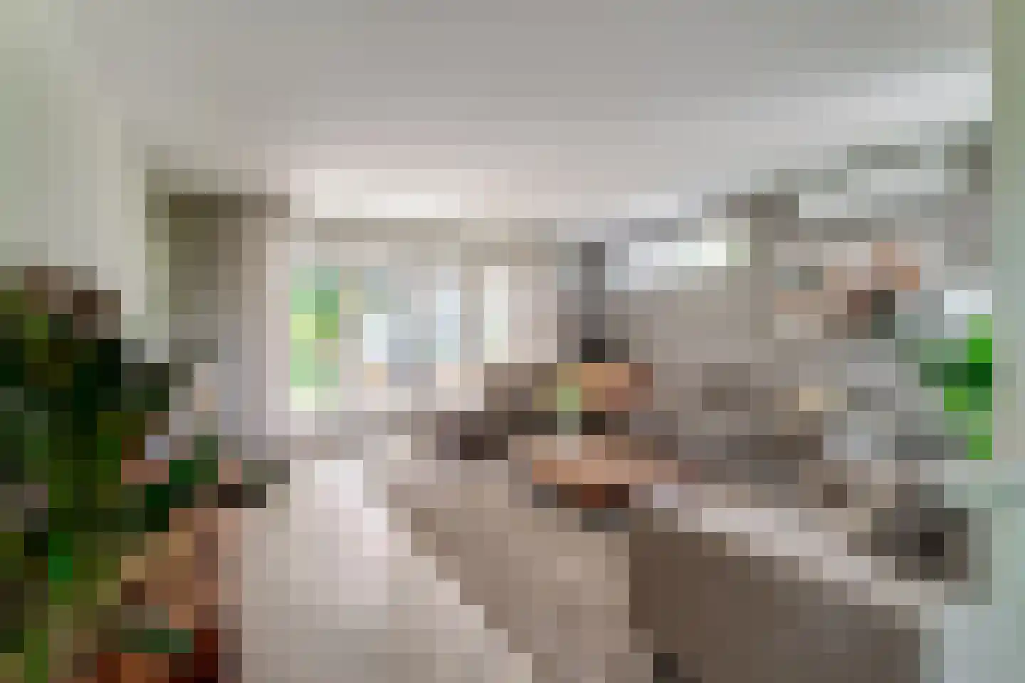 Rijswijksestraat 1 Groessen thumbnail 26