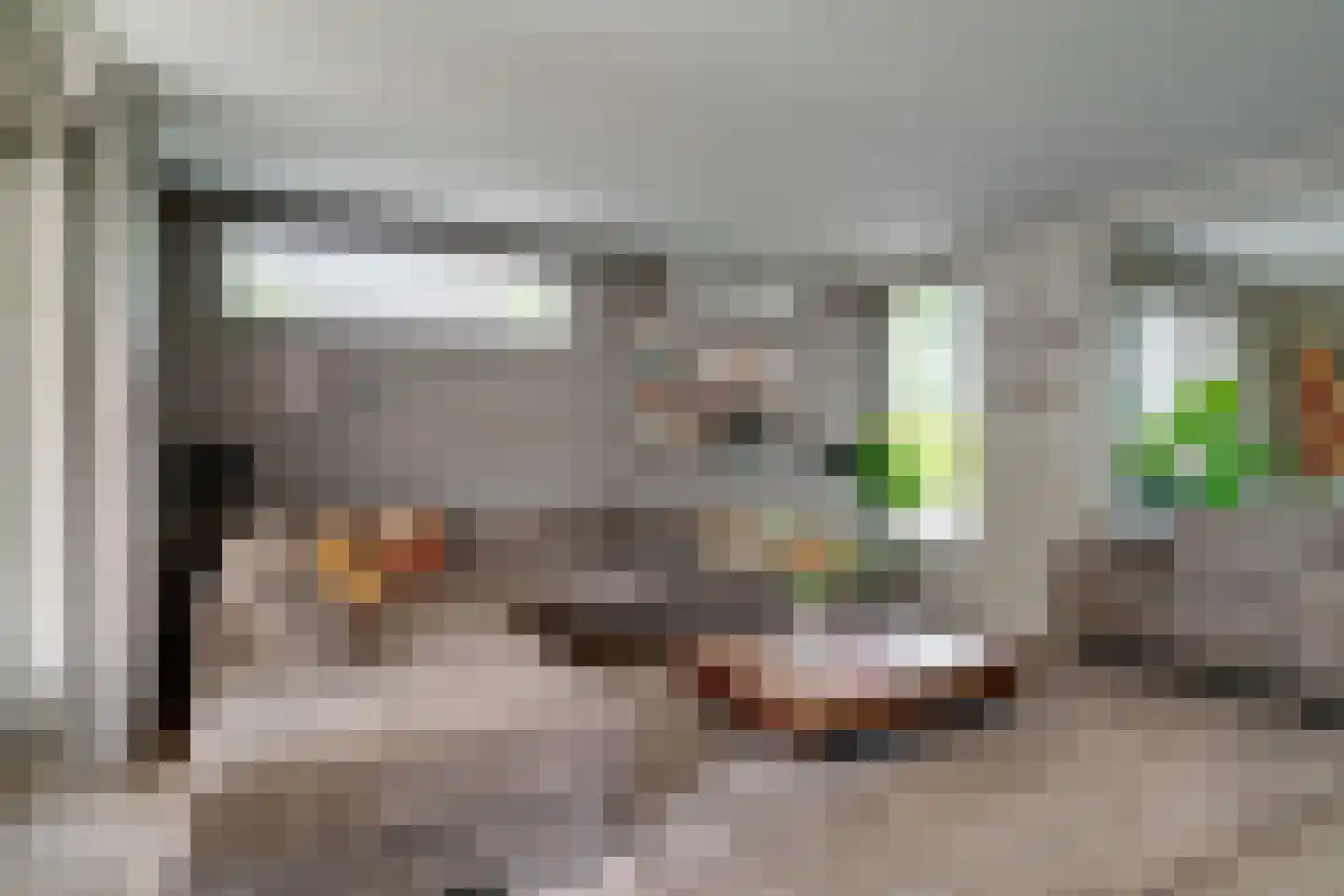 Rijswijksestraat 1 Groessen thumbnail 27