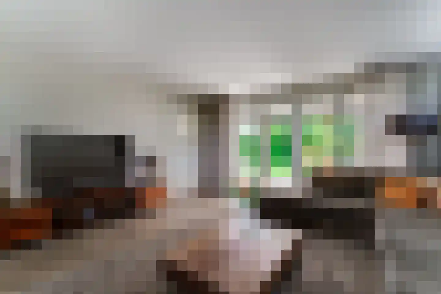Rijswijksestraat 1 Groessen thumbnail 28