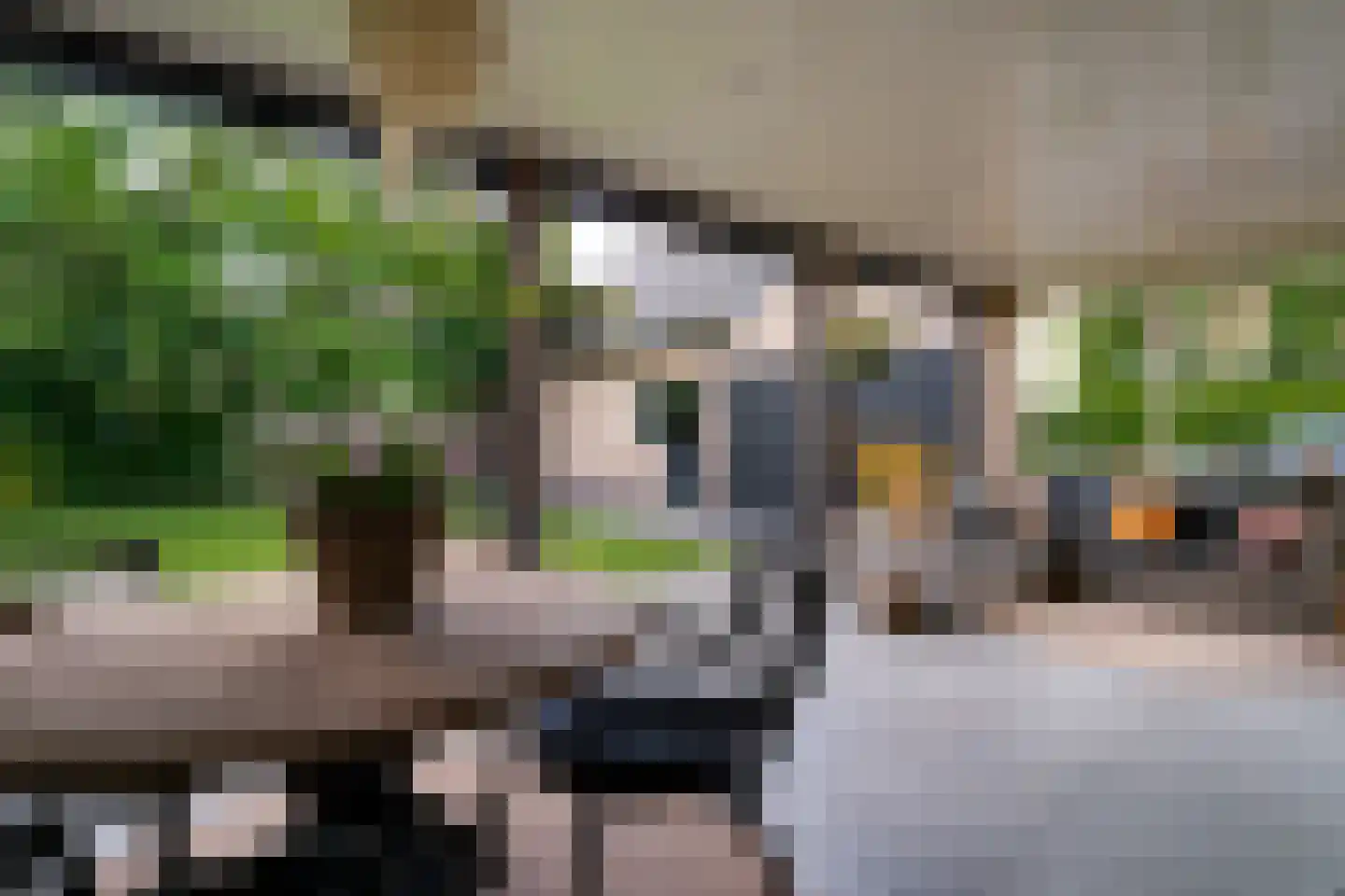 Rijswijksestraat 1 Groessen thumbnail 30