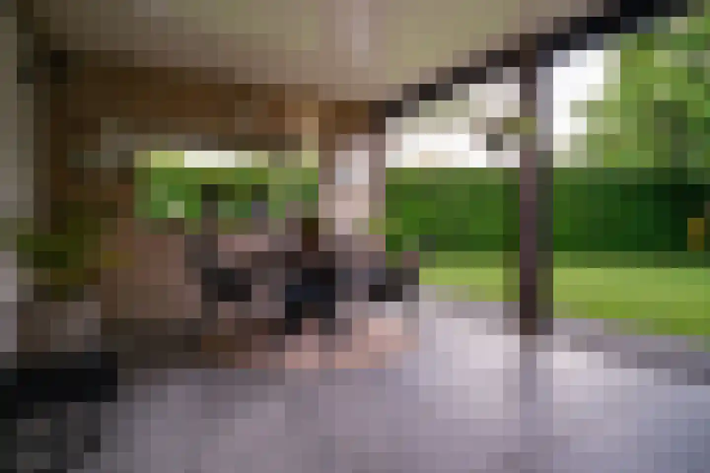 Rijswijksestraat 1 Groessen thumbnail 31