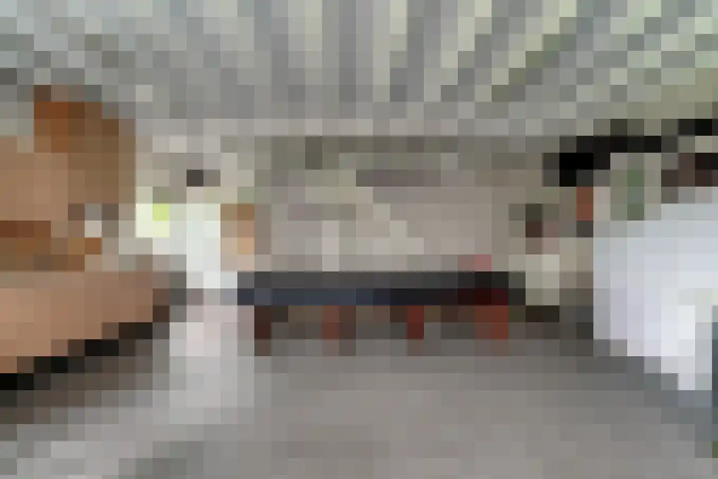 Rijswijksestraat 1 Groessen thumbnail 34