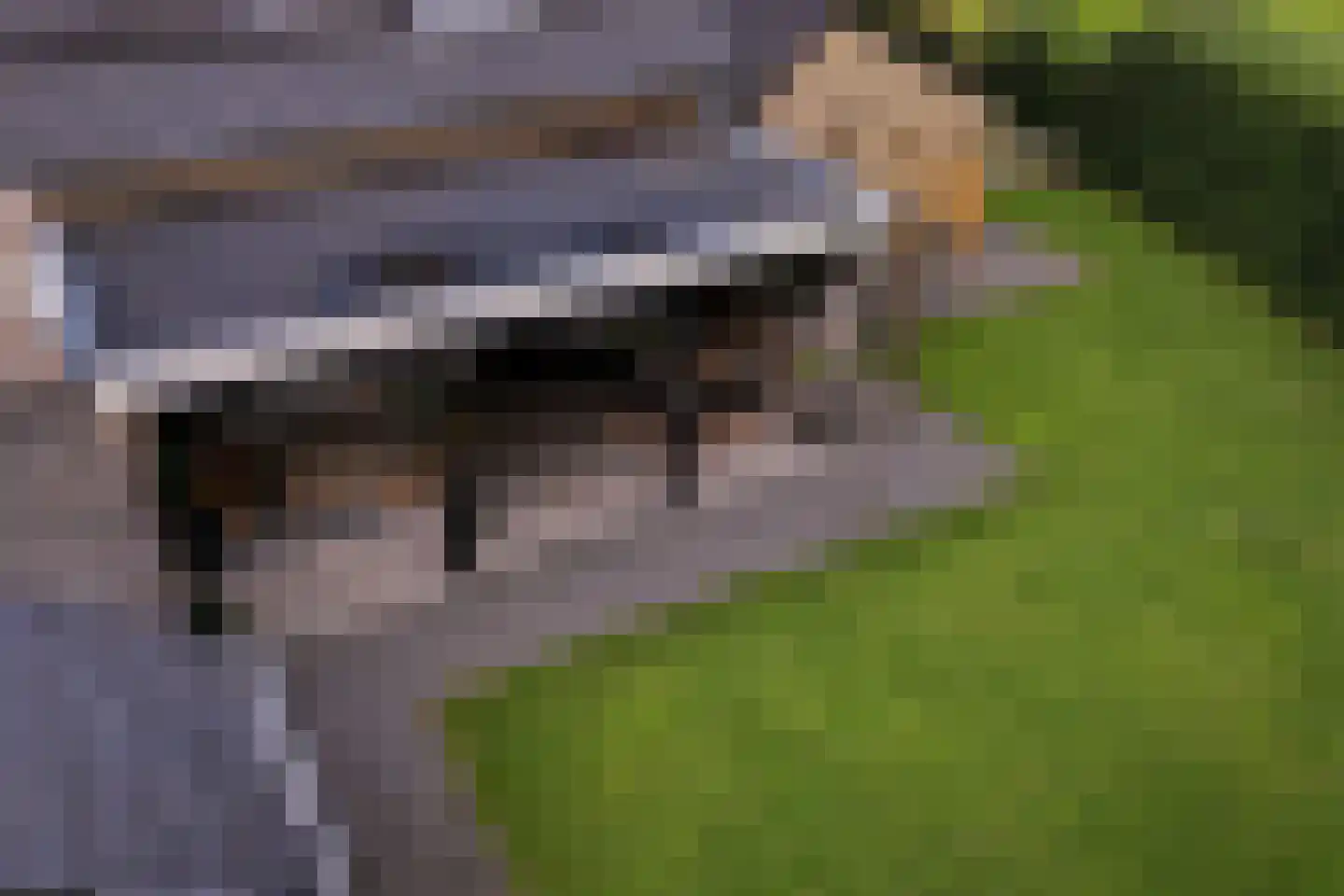 Rijswijksestraat 1 Groessen thumbnail 37