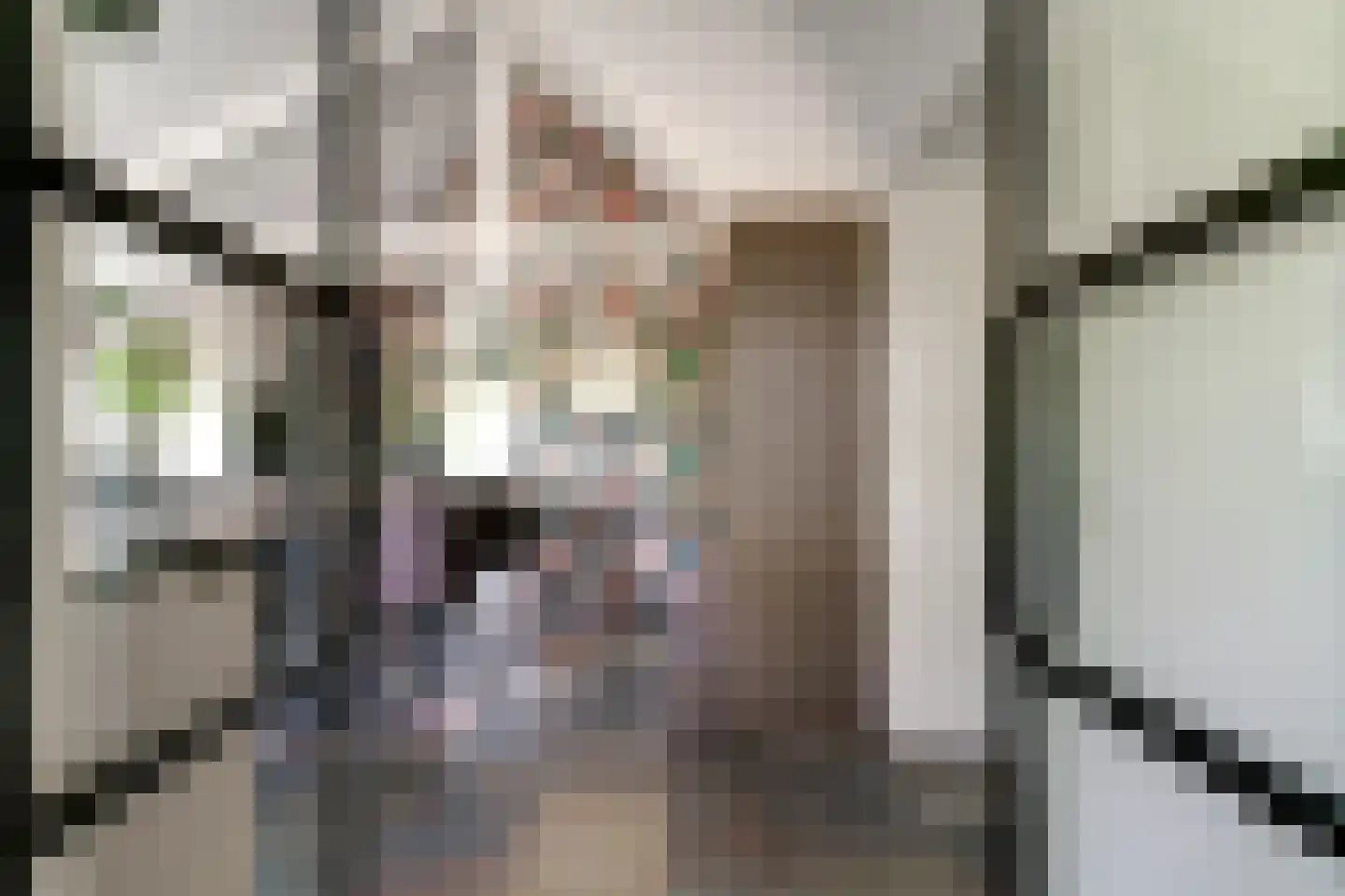 Rijswijksestraat 1 Groessen thumbnail 43