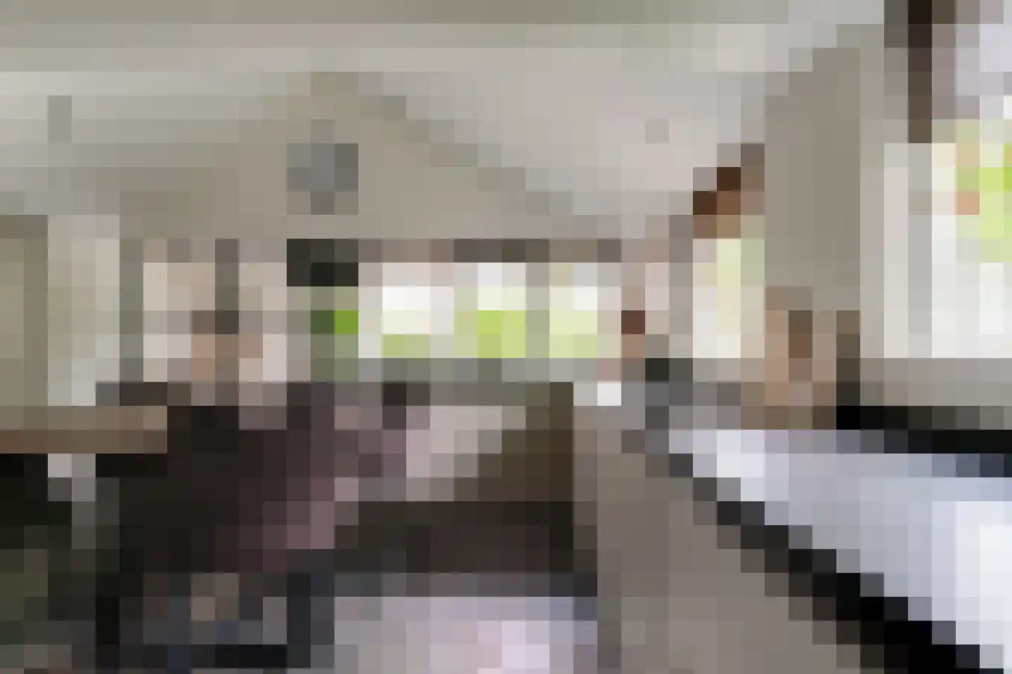 Rijswijksestraat 1 Groessen thumbnail 46