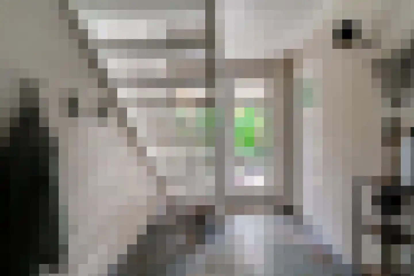 Rijswijksestraat 1 Groessen thumbnail 48