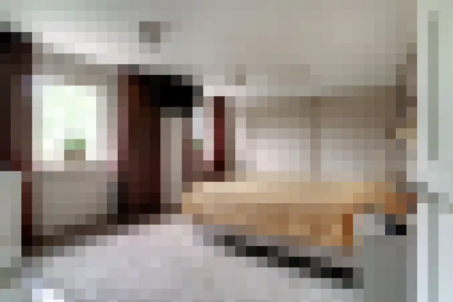 Rijswijksestraat 1 Groessen thumbnail 54