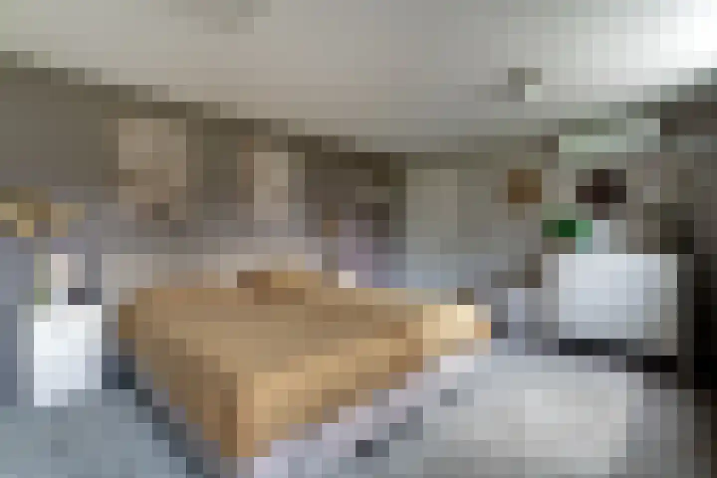 Rijswijksestraat 1 Groessen thumbnail 57