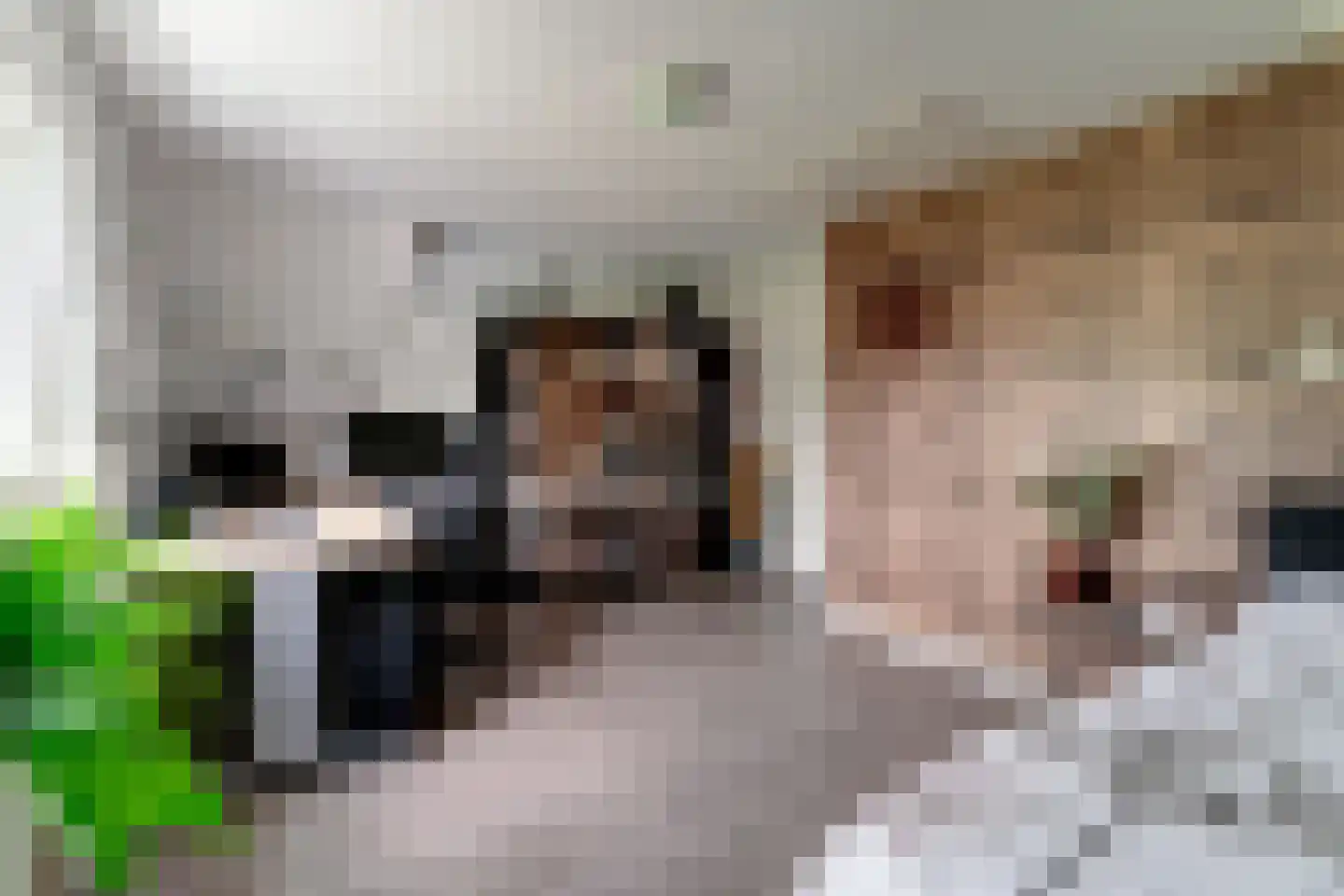 Rijswijksestraat 1 Groessen thumbnail 60