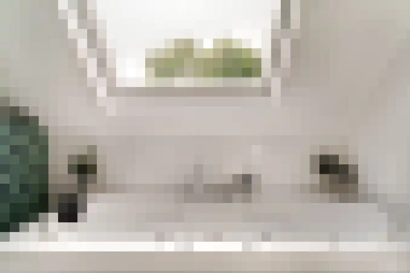 Rijswijksestraat 1 Groessen thumbnail 64