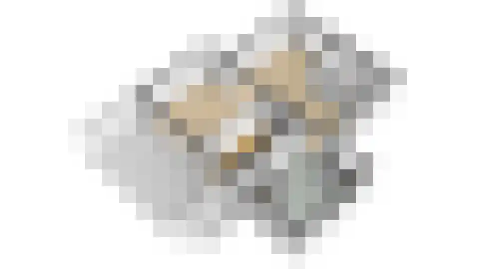 Rijswijksestraat 1 Groessen thumbnail 66