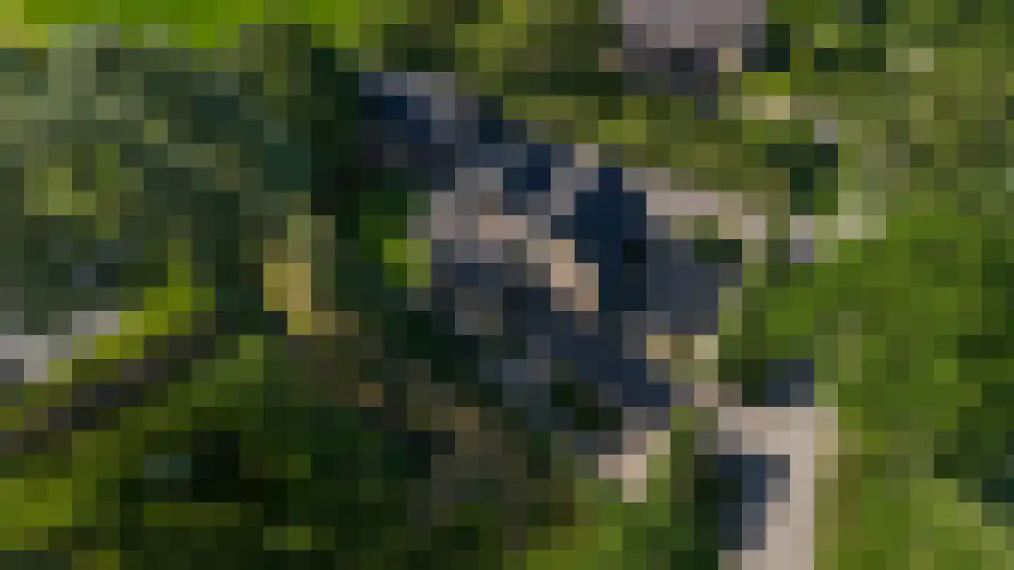 Rijswijksestraat 1 Groessen thumbnail 7