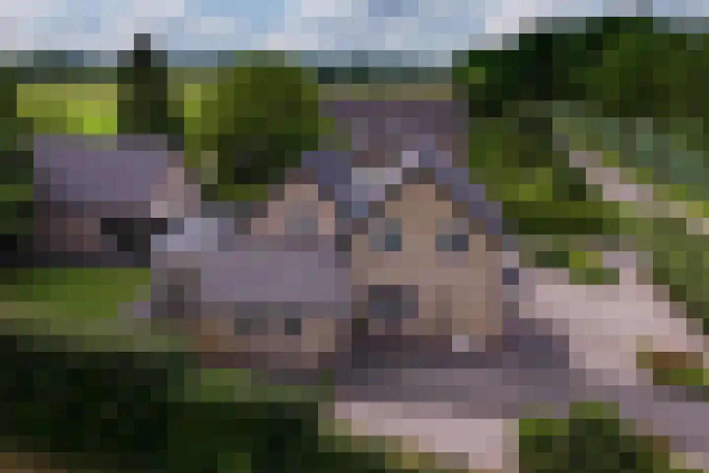 Rijswijksestraat 1 Groessen thumbnail 8