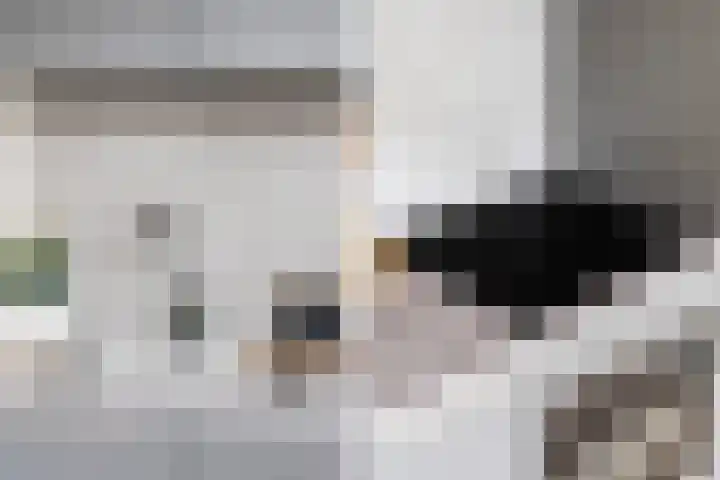 Rijswijkseweg 211 C Den Haag thumbnail 7