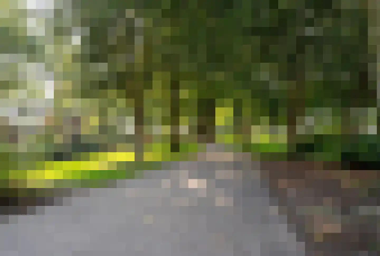 Rijswijkseweg 283 Den Haag thumbnail 31