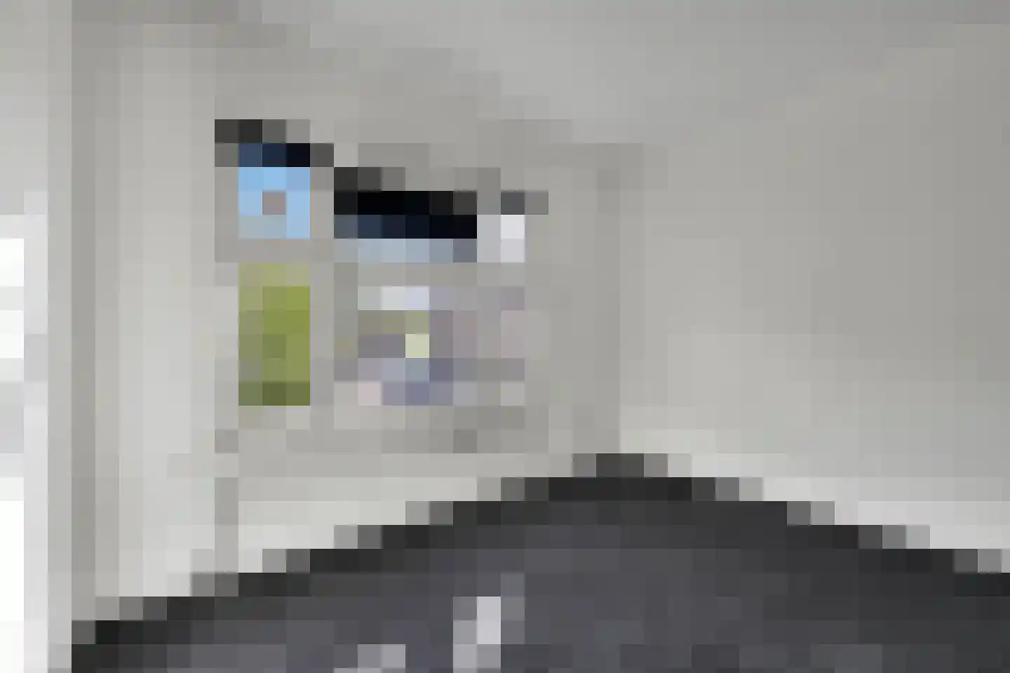 Rijswijkseweg 387 Den Haag thumbnail 17