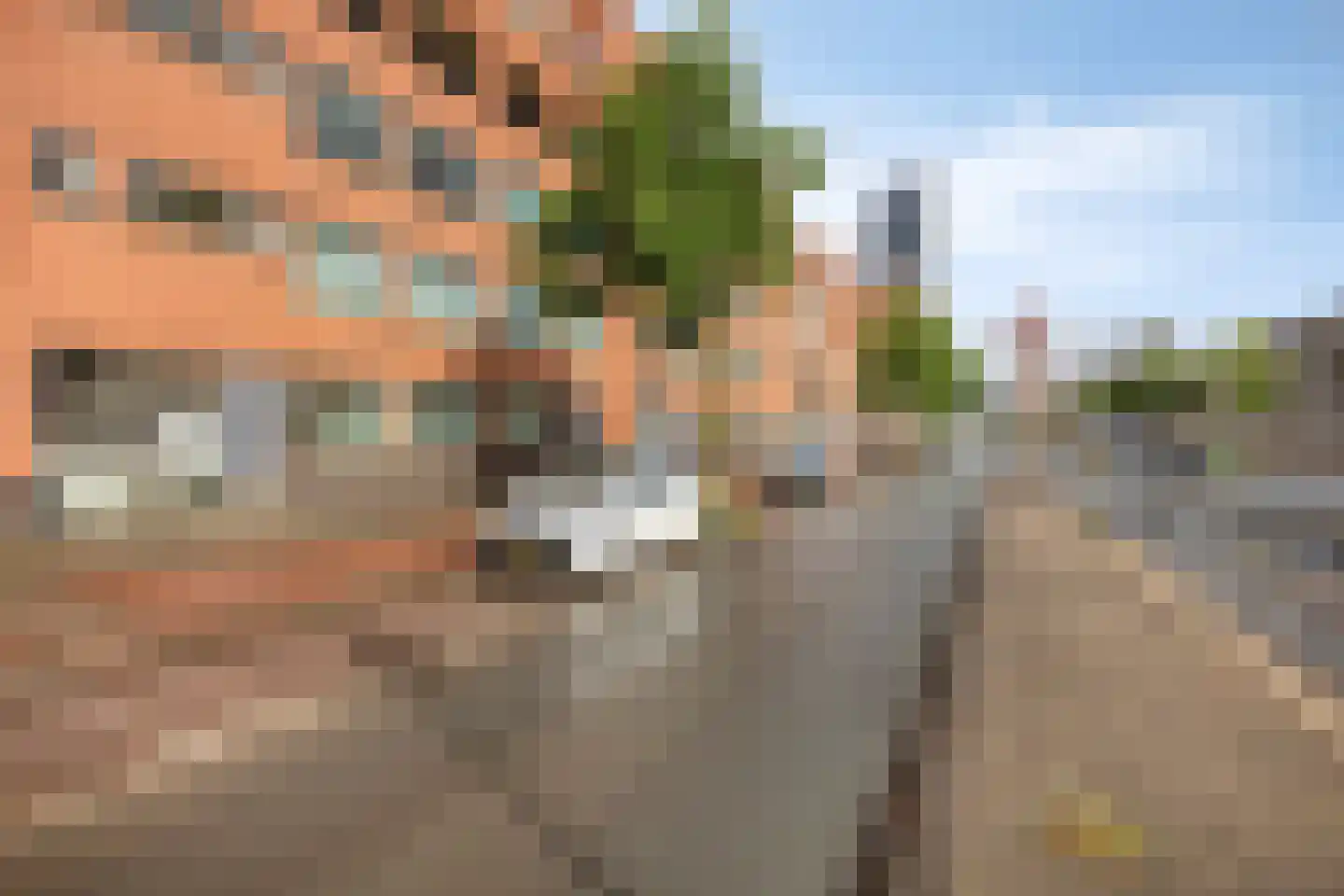 Rijswijkseweg 55 Den Haag thumbnail 10
