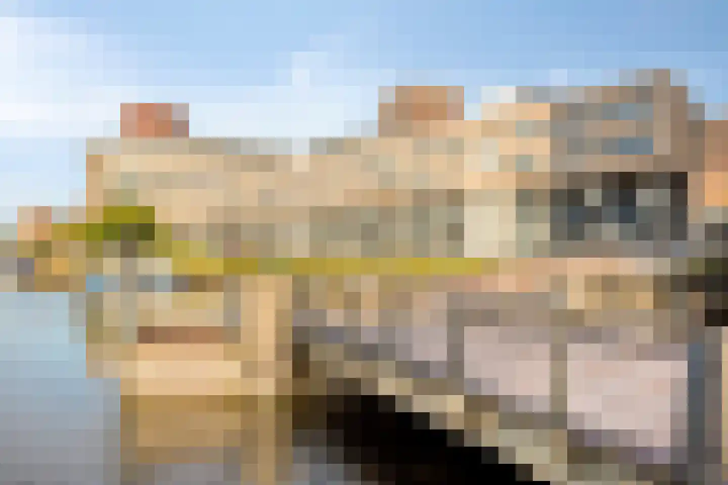 Rijswijkseweg 55 Den Haag thumbnail 35
