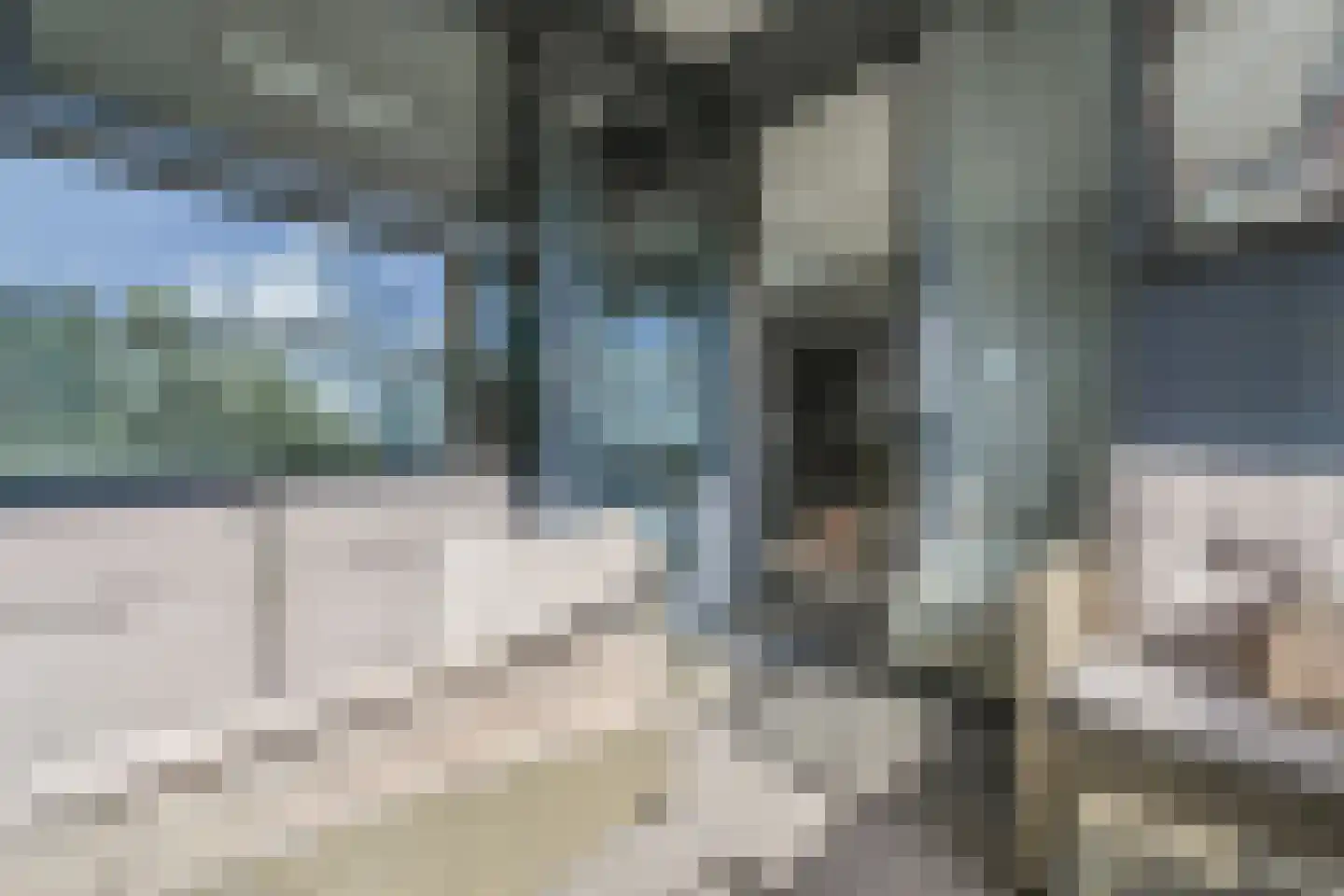Rijswijkseweg 71 A Den Haag thumbnail 10