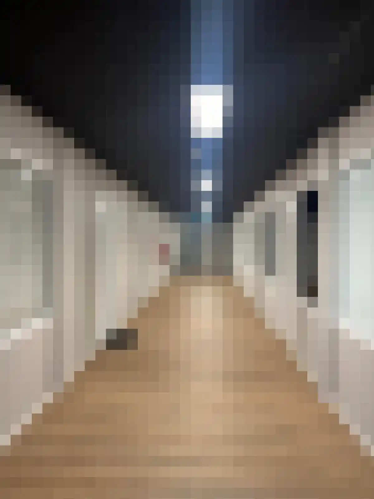 Rijswijkseweg Den Haag thumbnail 5