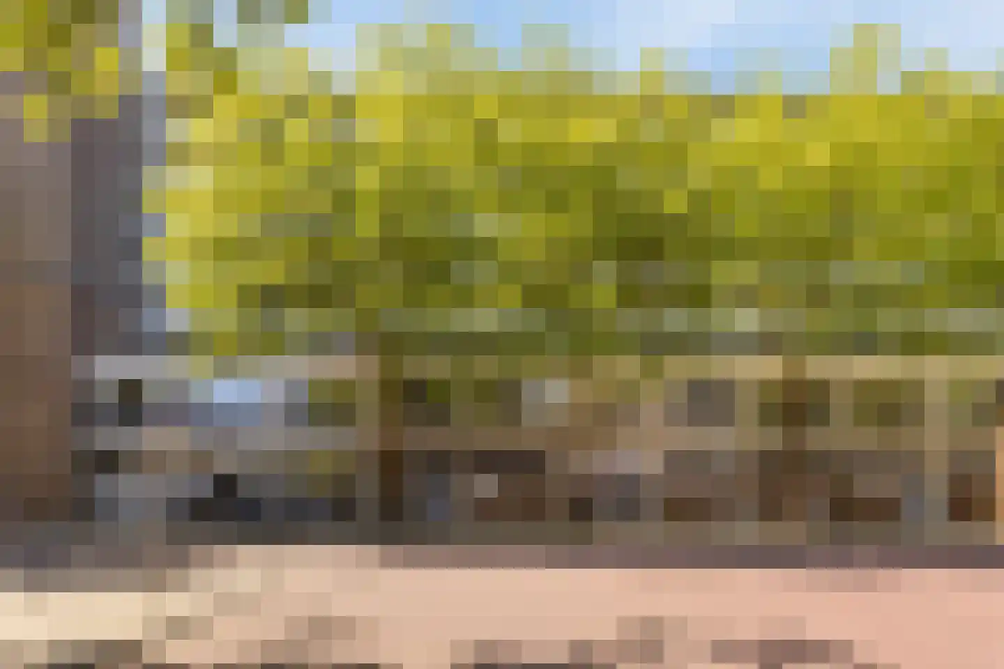 Rijswijkstraat 115 Amsterdam thumbnail 28