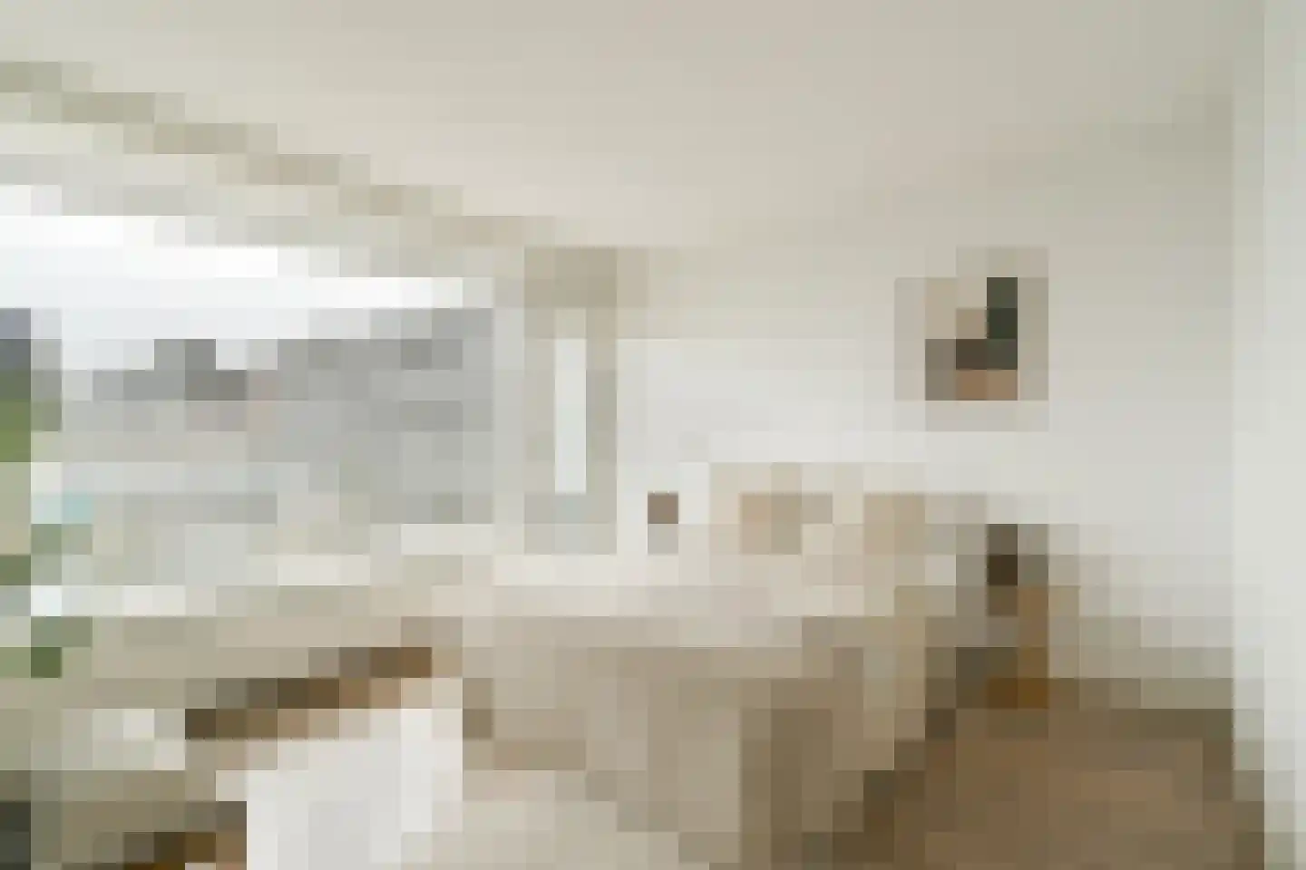Rijswijkstraat 21 Amsterdam thumbnail 11