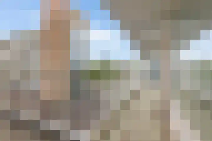 Rijswijkstraat 49 Amsterdam thumbnail 5