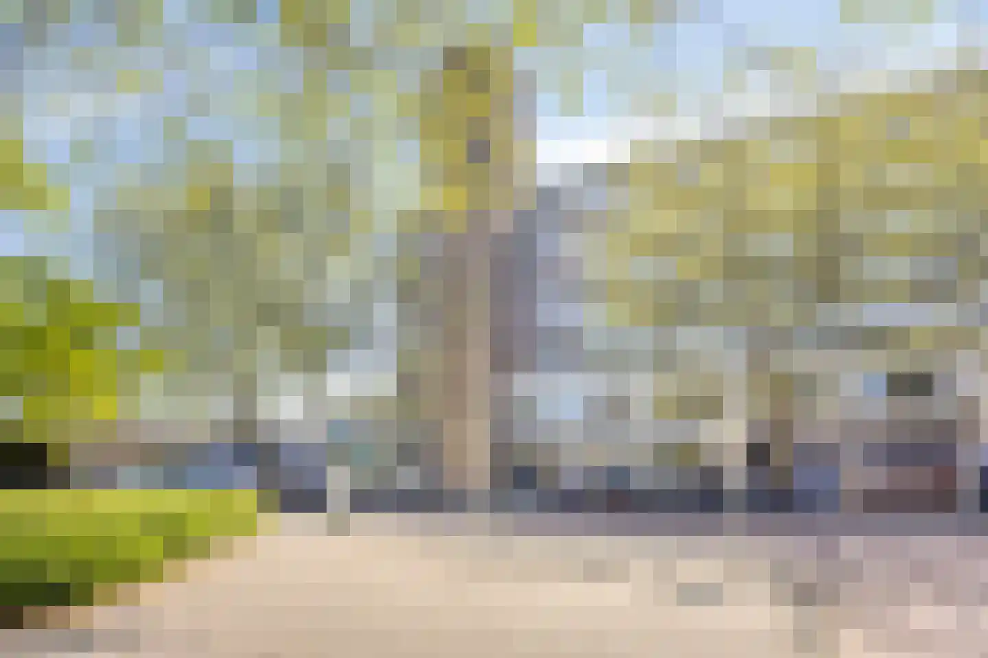 Rijswijkstraat 71 Amsterdam thumbnail 29