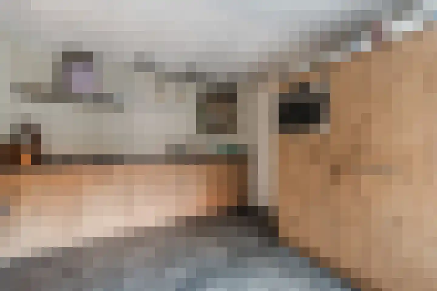 Rijt 18 Luyksgestel thumbnail 13